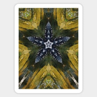 Unique Kaleidoscope of Alligator in a Pond Sticker